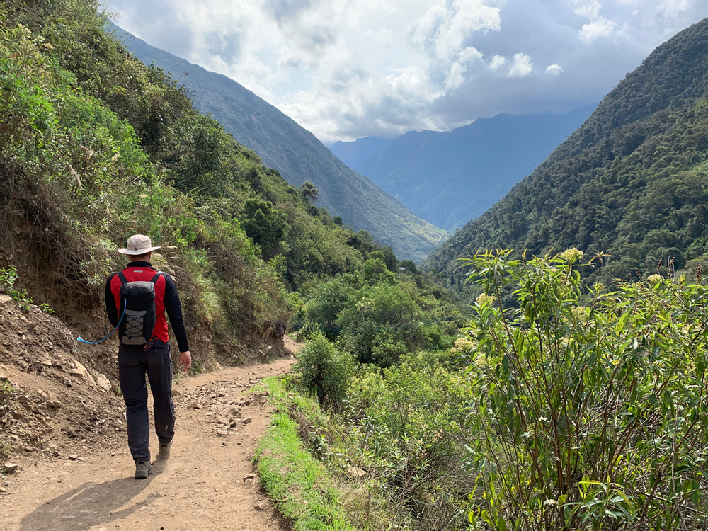 Cloud forest on the Salkantay Trek