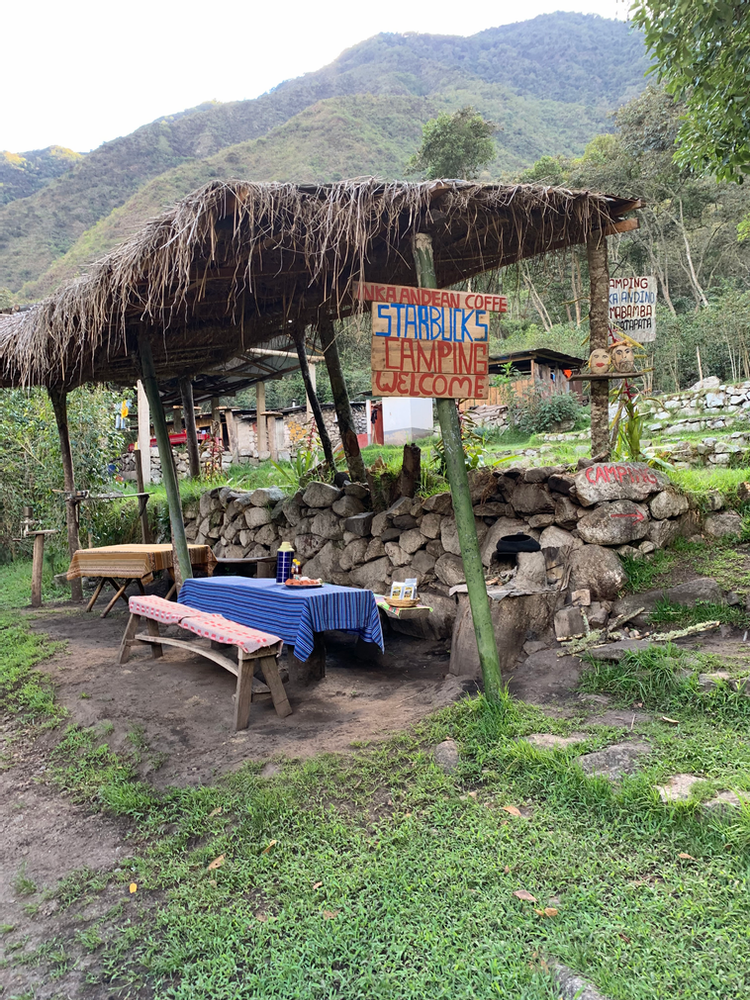Coffee plantations on Salkantay Trek