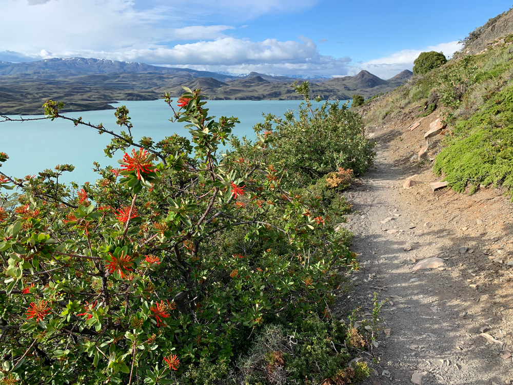 Stunning lake views on the W-Trek in Torres del Paine National Park